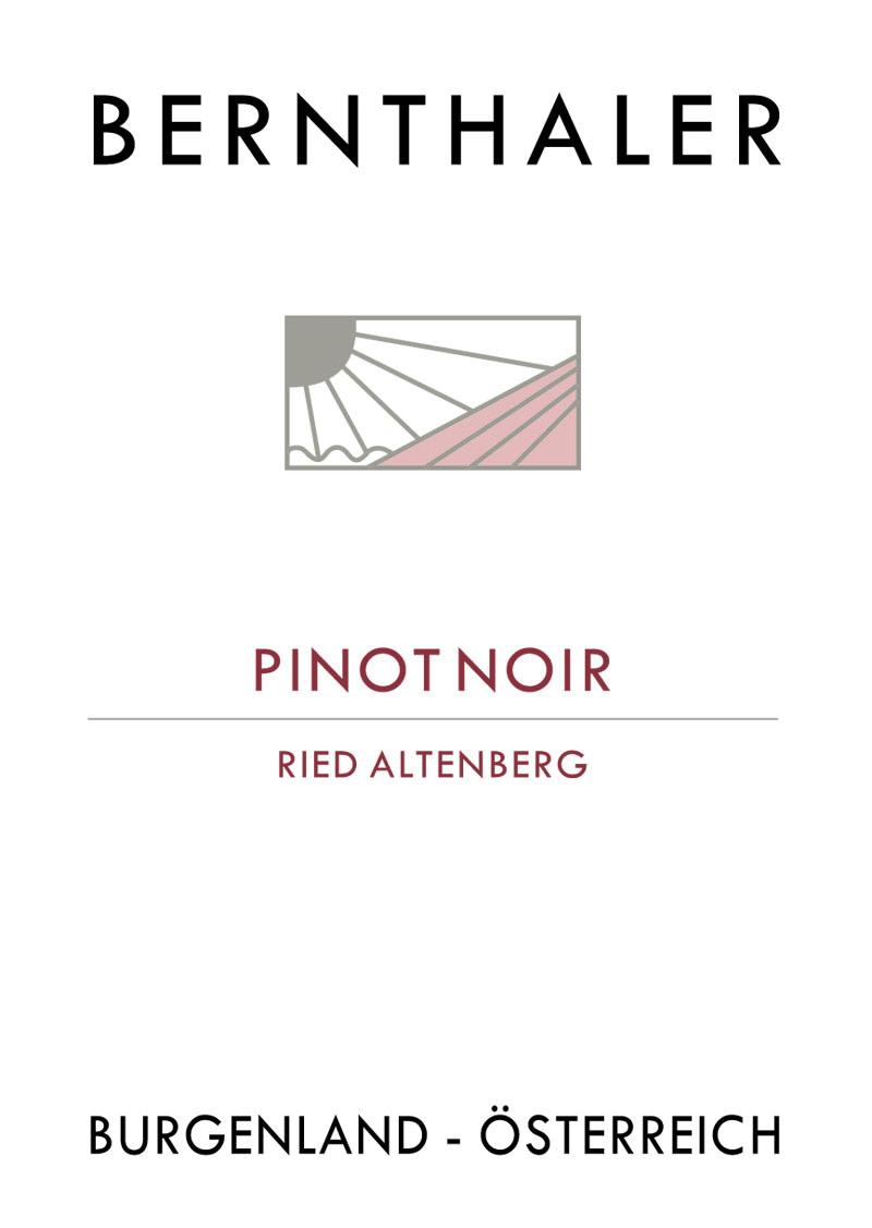 Bernthaler Bio Wein - Pinot Noir - Ried Altenberg